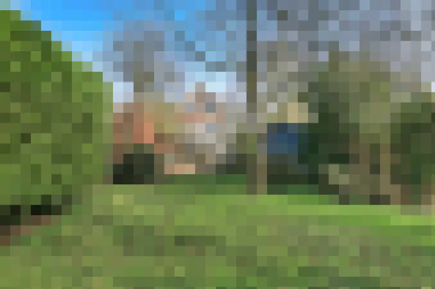 Nieuwemeerdijk 377 Badhoevedorp foto 2