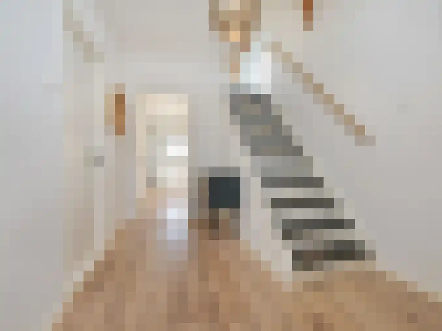 Nieuwemeerdijk 377 Badhoevedorp thumbnail 22