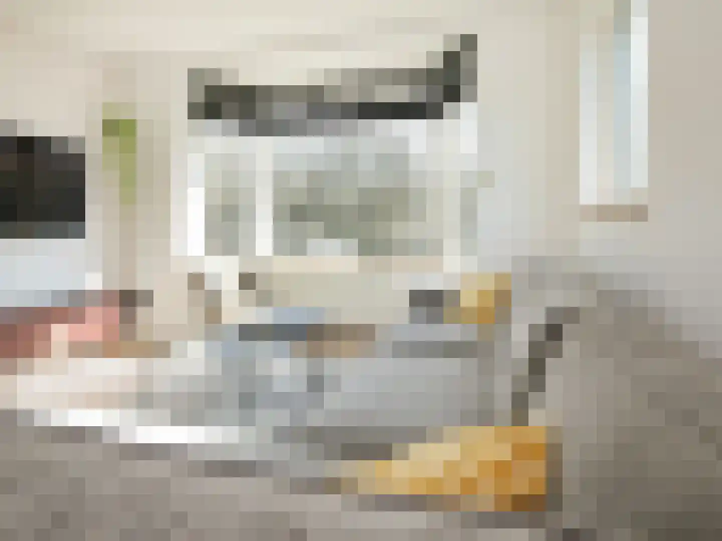 Nieuwemeerdijk 377 Badhoevedorp thumbnail 24