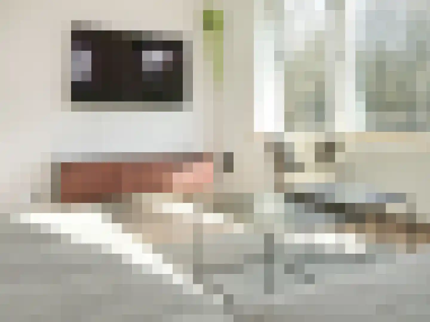 Nieuwemeerdijk 377 Badhoevedorp thumbnail 26