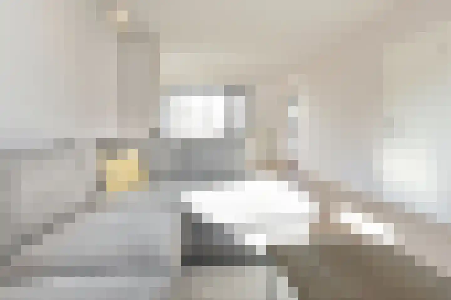 Nieuwemeerdijk 377 Badhoevedorp thumbnail 27