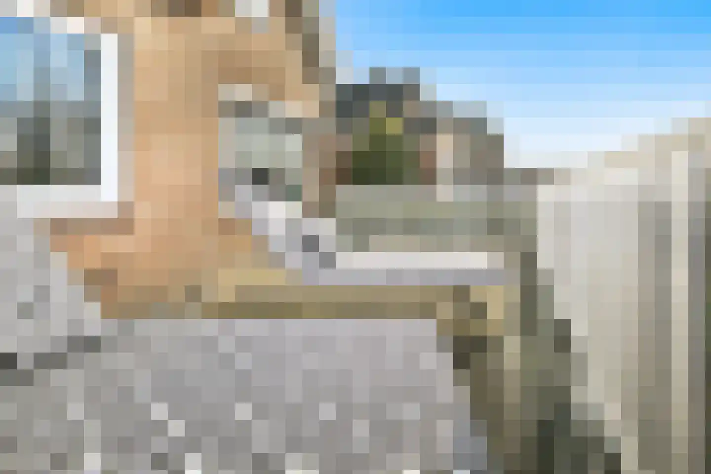 Nieuwemeerdijk 377 Badhoevedorp thumbnail 33