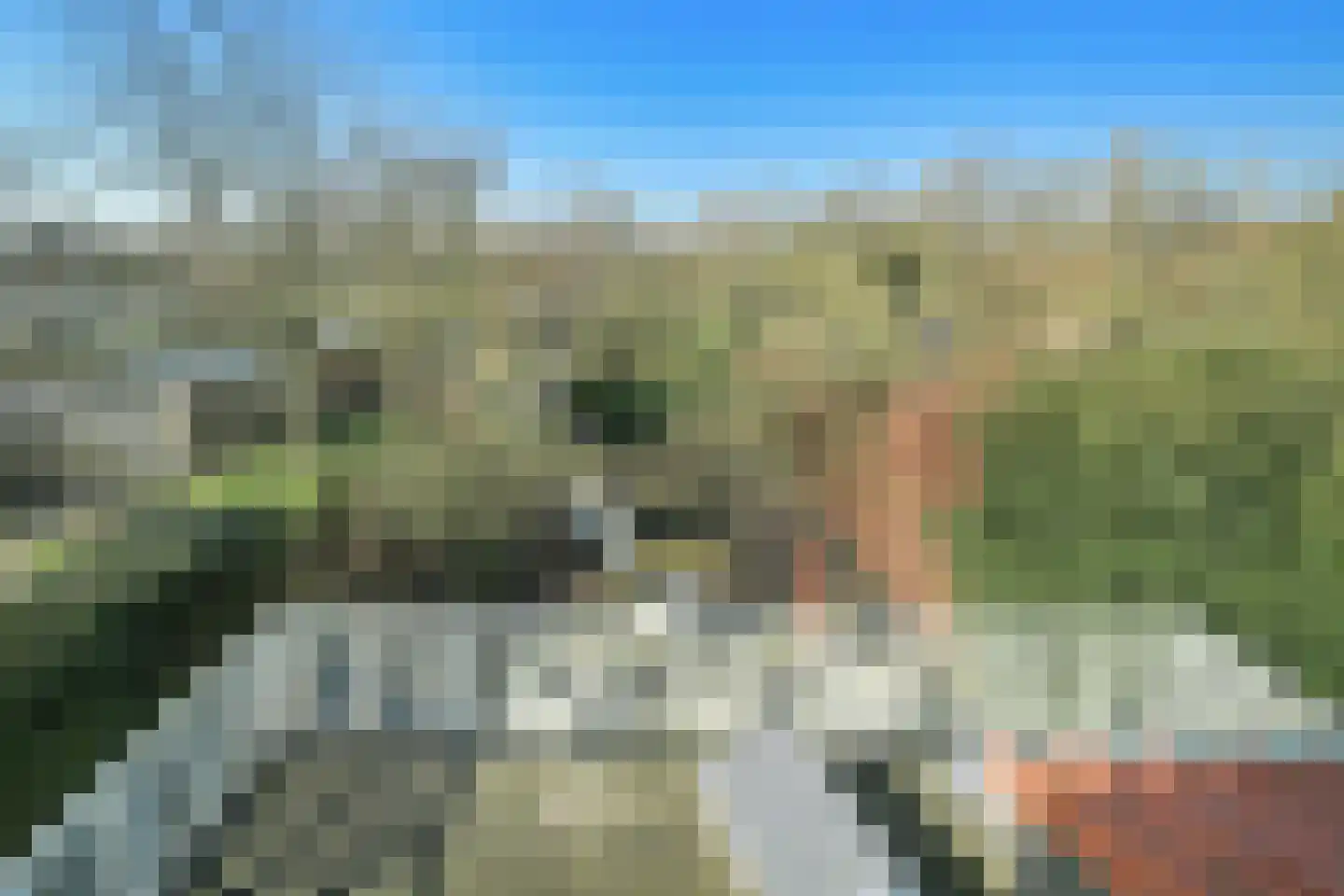 Nieuwemeerdijk 377 Badhoevedorp thumbnail 34
