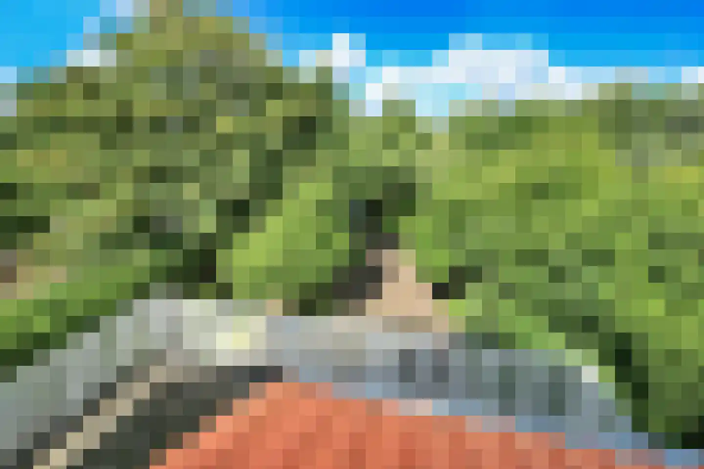 Nieuwemeerdijk 377 Badhoevedorp thumbnail 35