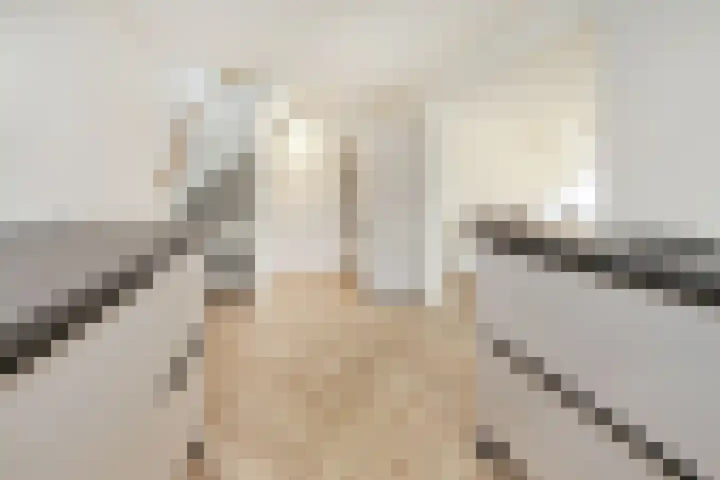 Nieuwemeerdijk 377 Badhoevedorp thumbnail 40