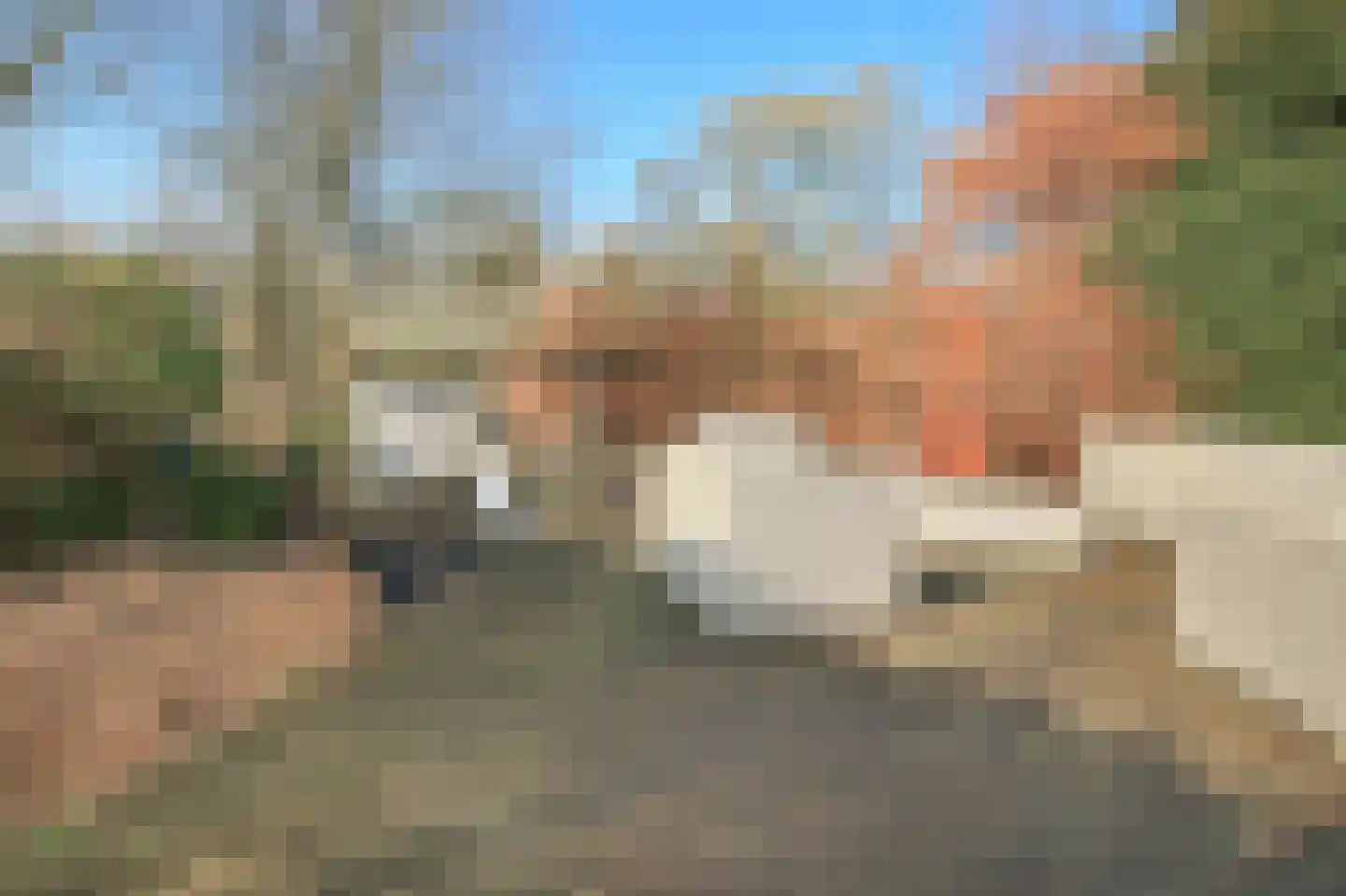 Nieuwemeerdijk 377 Badhoevedorp thumbnail 49