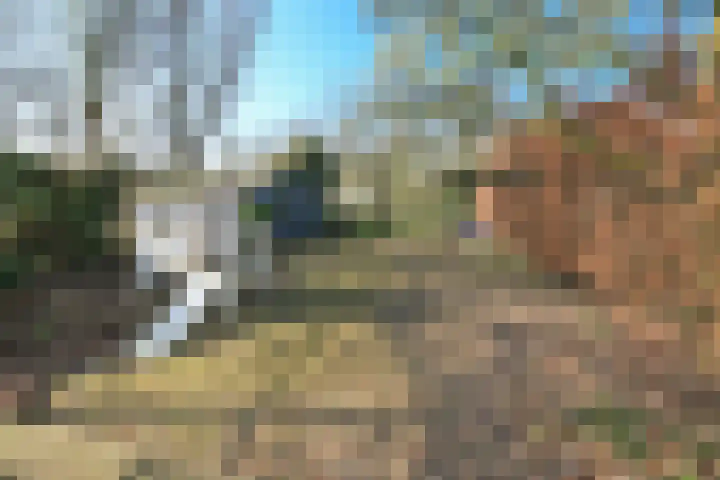 Nieuwemeerdijk 377 Badhoevedorp thumbnail 50