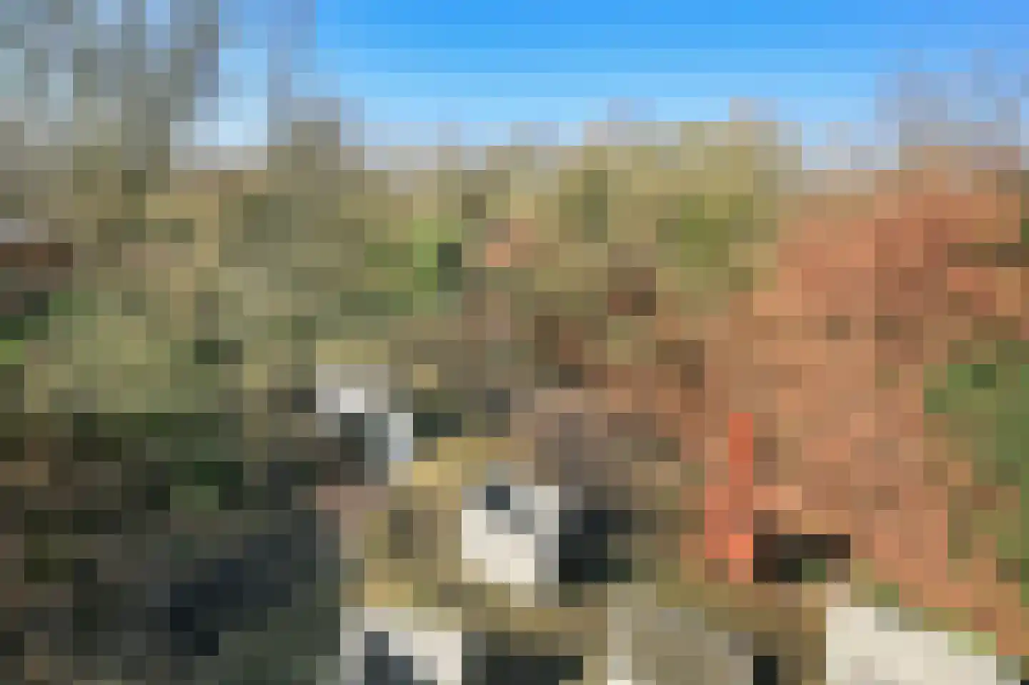 Nieuwemeerdijk 377 Badhoevedorp thumbnail 51