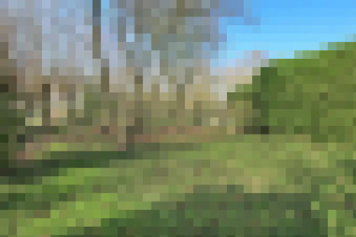Nieuwemeerdijk 377 Badhoevedorp thumbnail 52