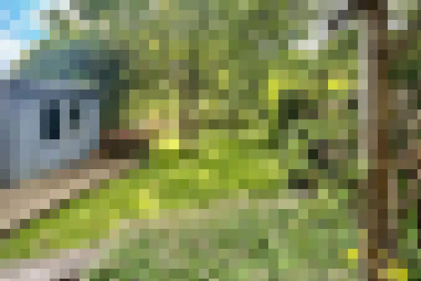 Nieuwemeerdijk 377 Badhoevedorp thumbnail 54