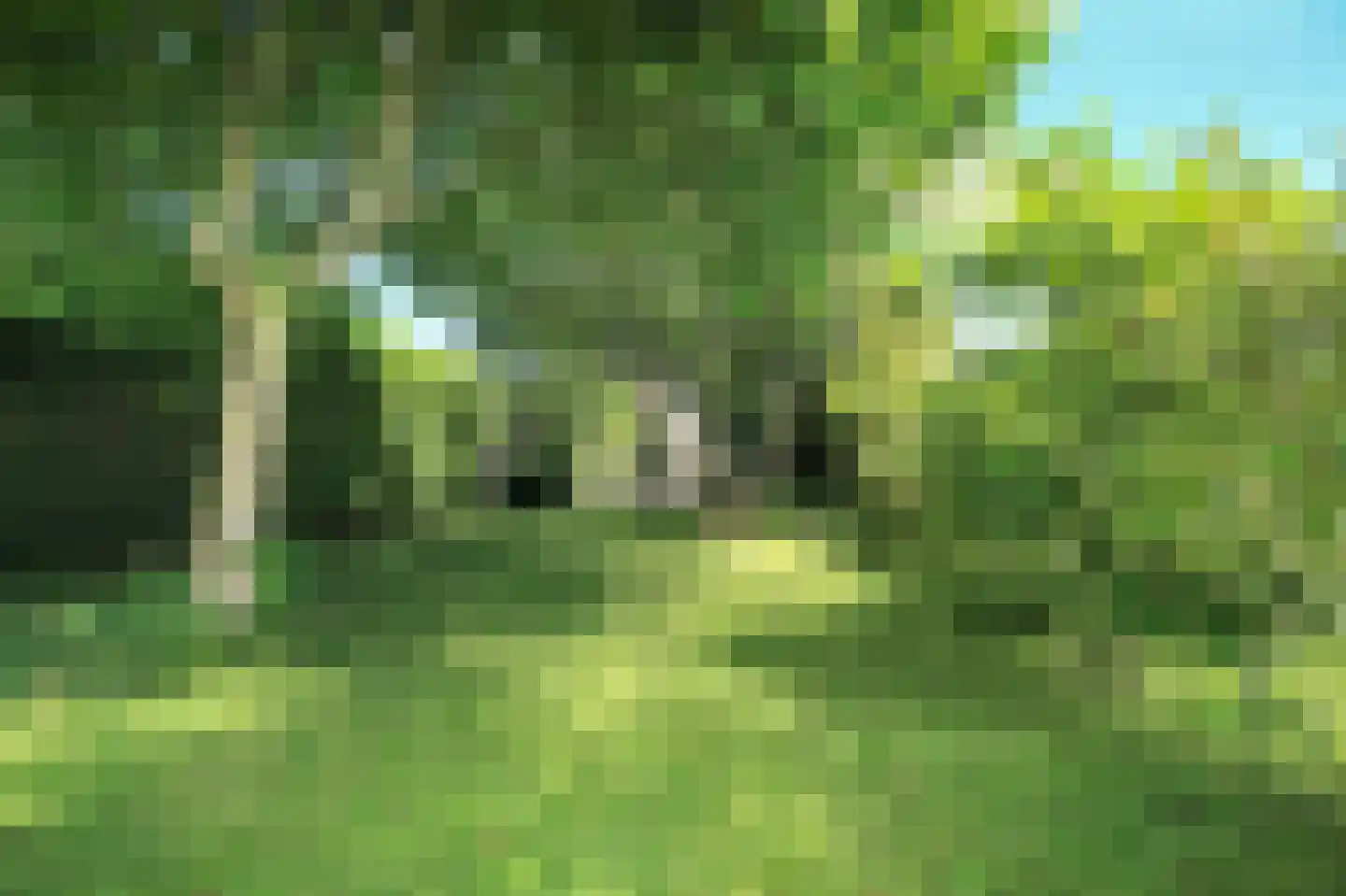 Nieuwemeerdijk 377 Badhoevedorp thumbnail 55