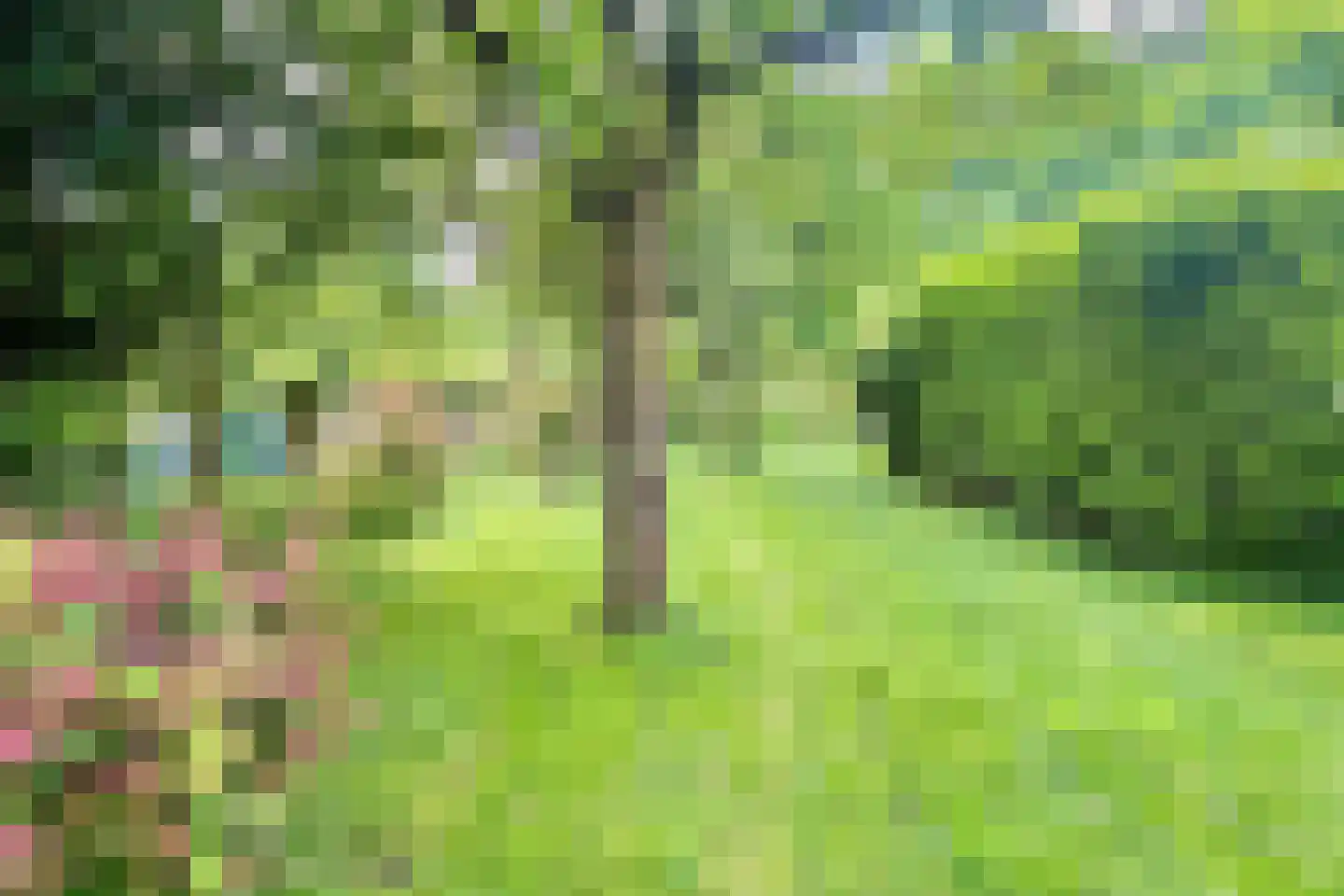 Nieuwemeerdijk 377 Badhoevedorp thumbnail 56