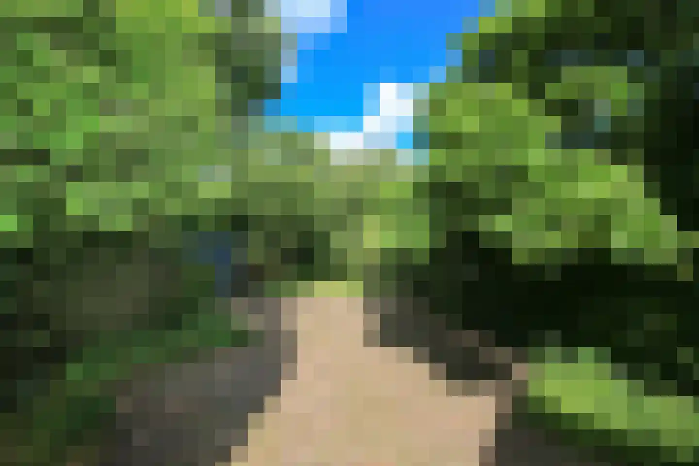 Nieuwemeerdijk 377 Badhoevedorp thumbnail 57