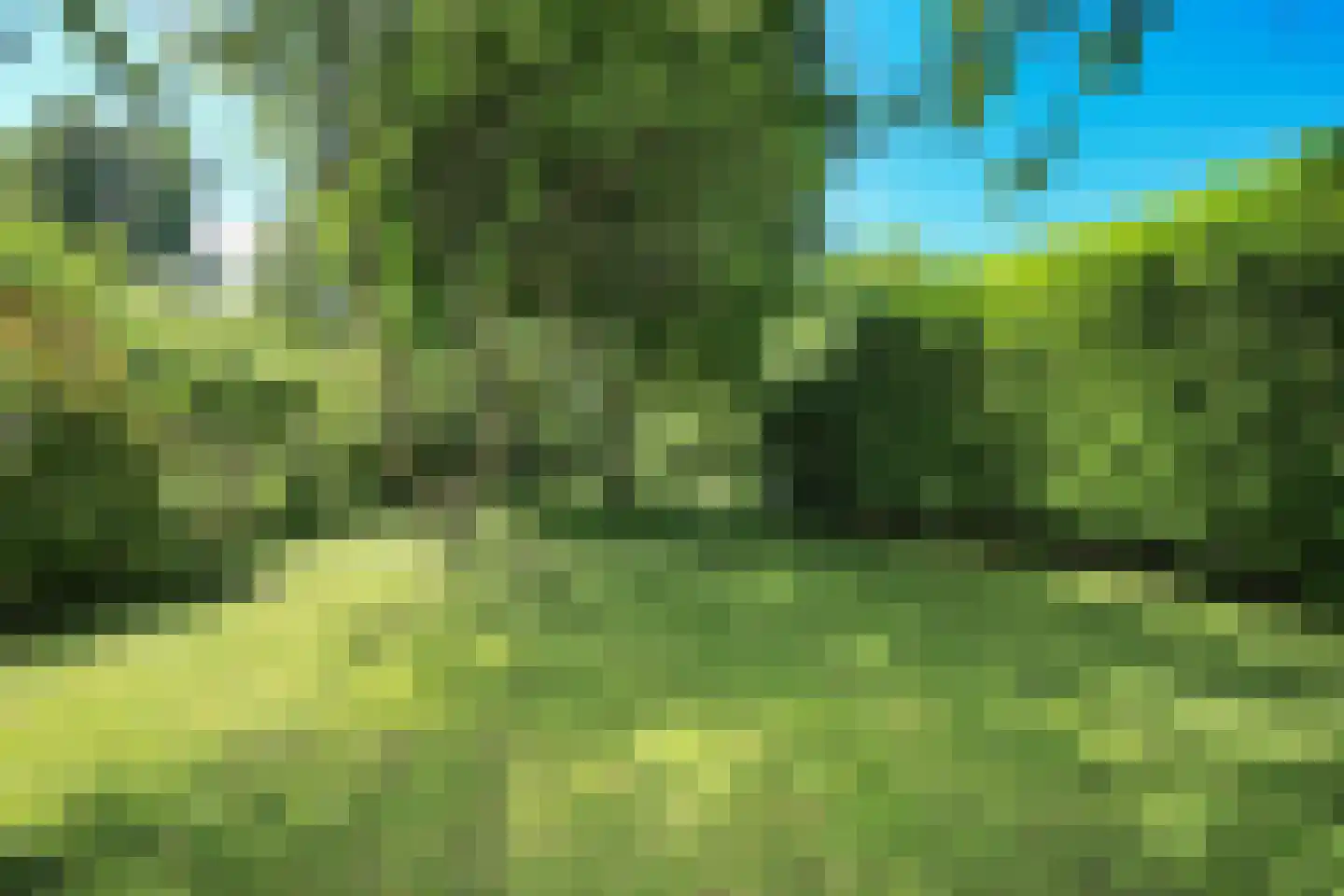 Nieuwemeerdijk 377 Badhoevedorp thumbnail 58