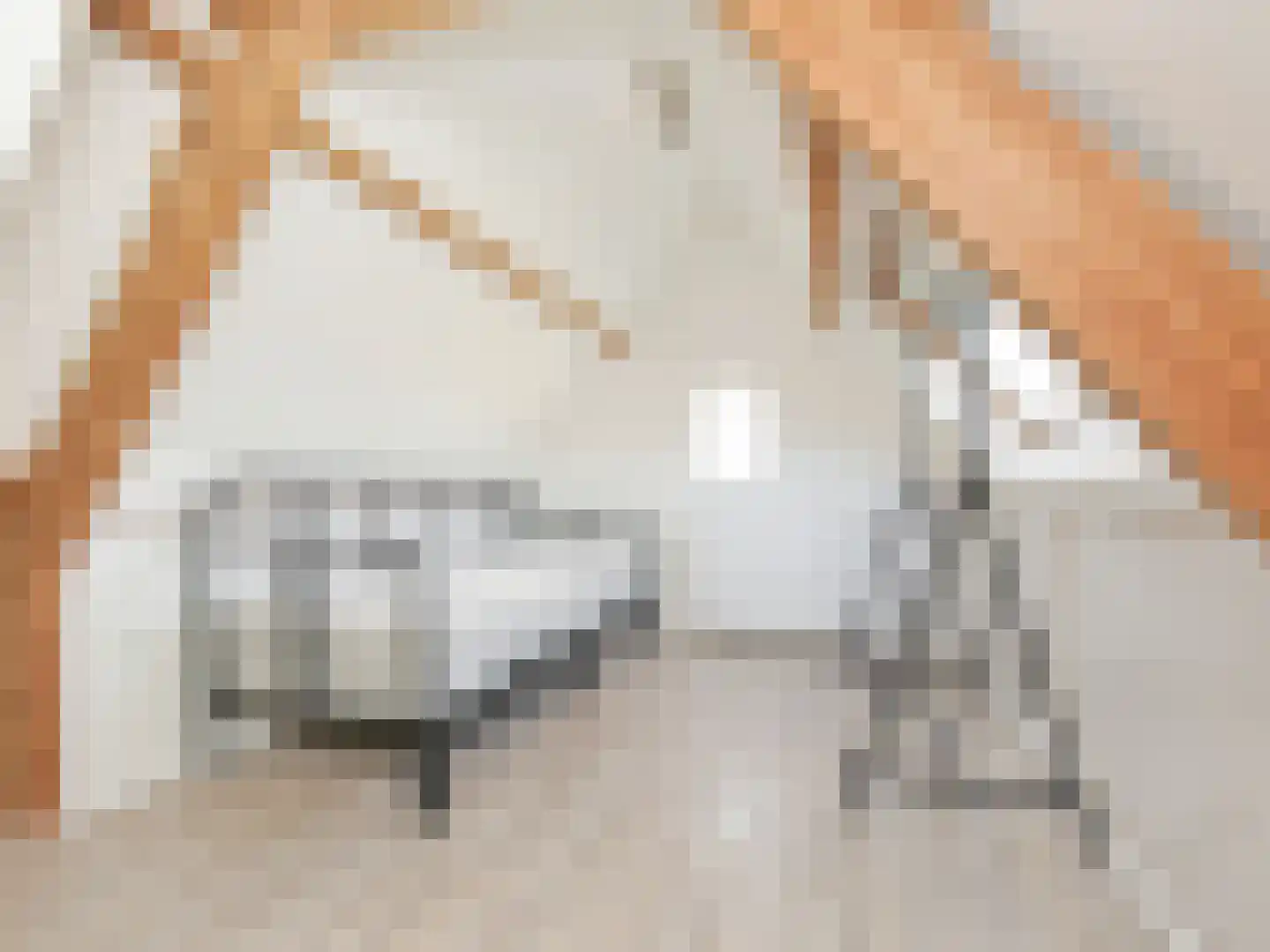 Nieuwemeerdijk 377 Badhoevedorp thumbnail 69