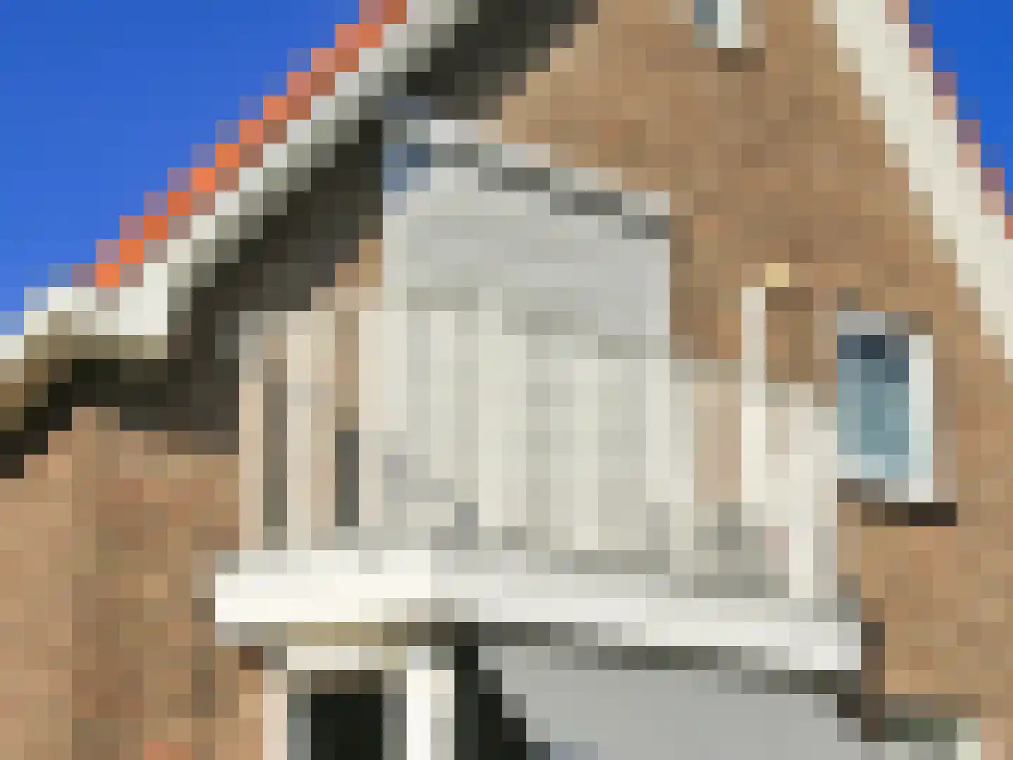 Nieuwemeerdijk 377 Badhoevedorp thumbnail 75