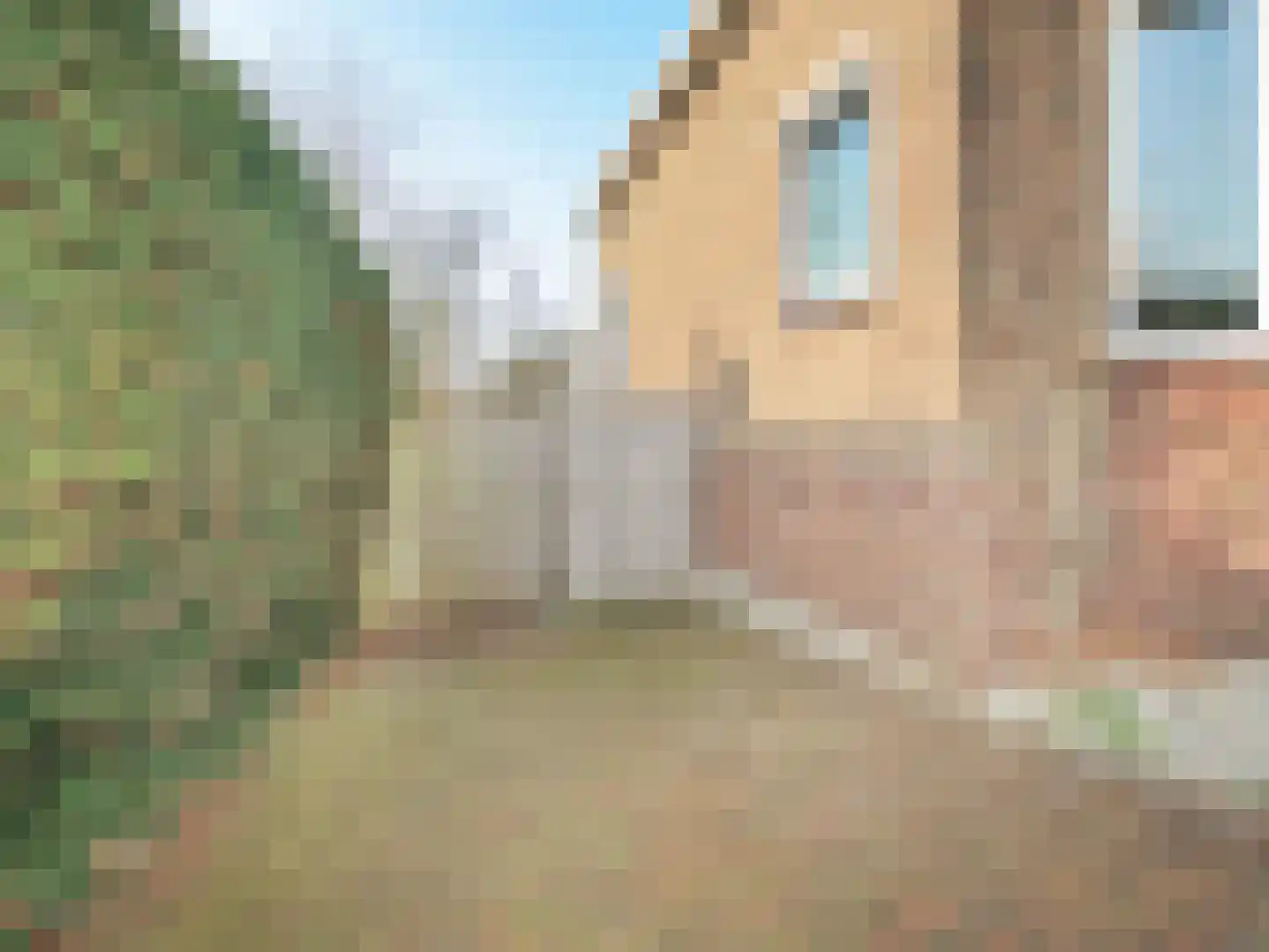 Nieuwemeerdijk 377 Badhoevedorp thumbnail 76