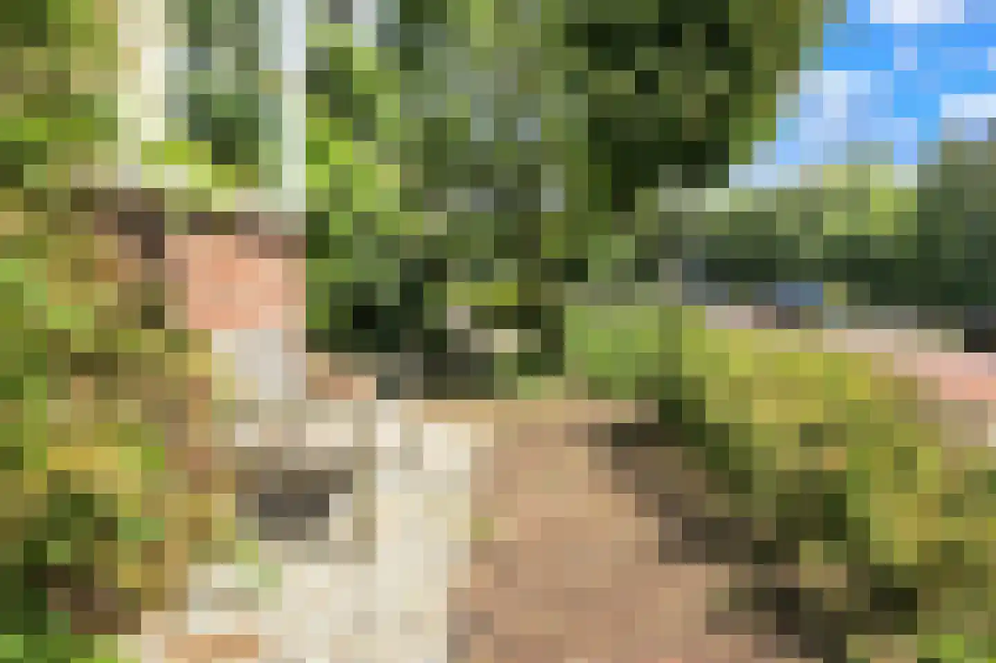 Nieuwemeerdijk 377 Badhoevedorp thumbnail 83