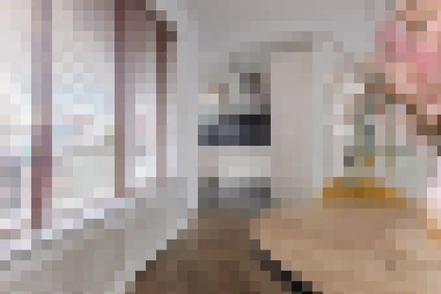 Nieuwemeerdijk 38 Badhoevedorp thumbnail 25