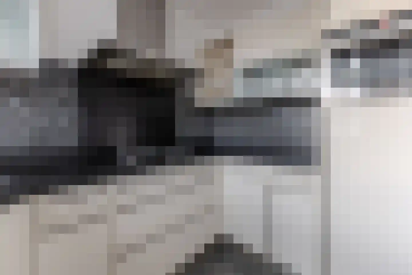 Nieuwemeerdijk 38 Badhoevedorp thumbnail 27
