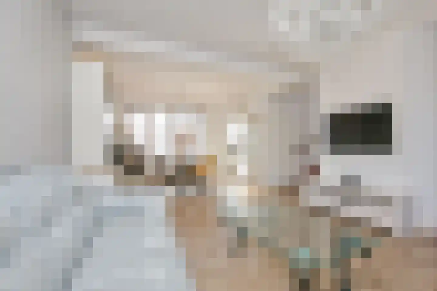 Nieuwemeerdijk 38 Badhoevedorp thumbnail 4