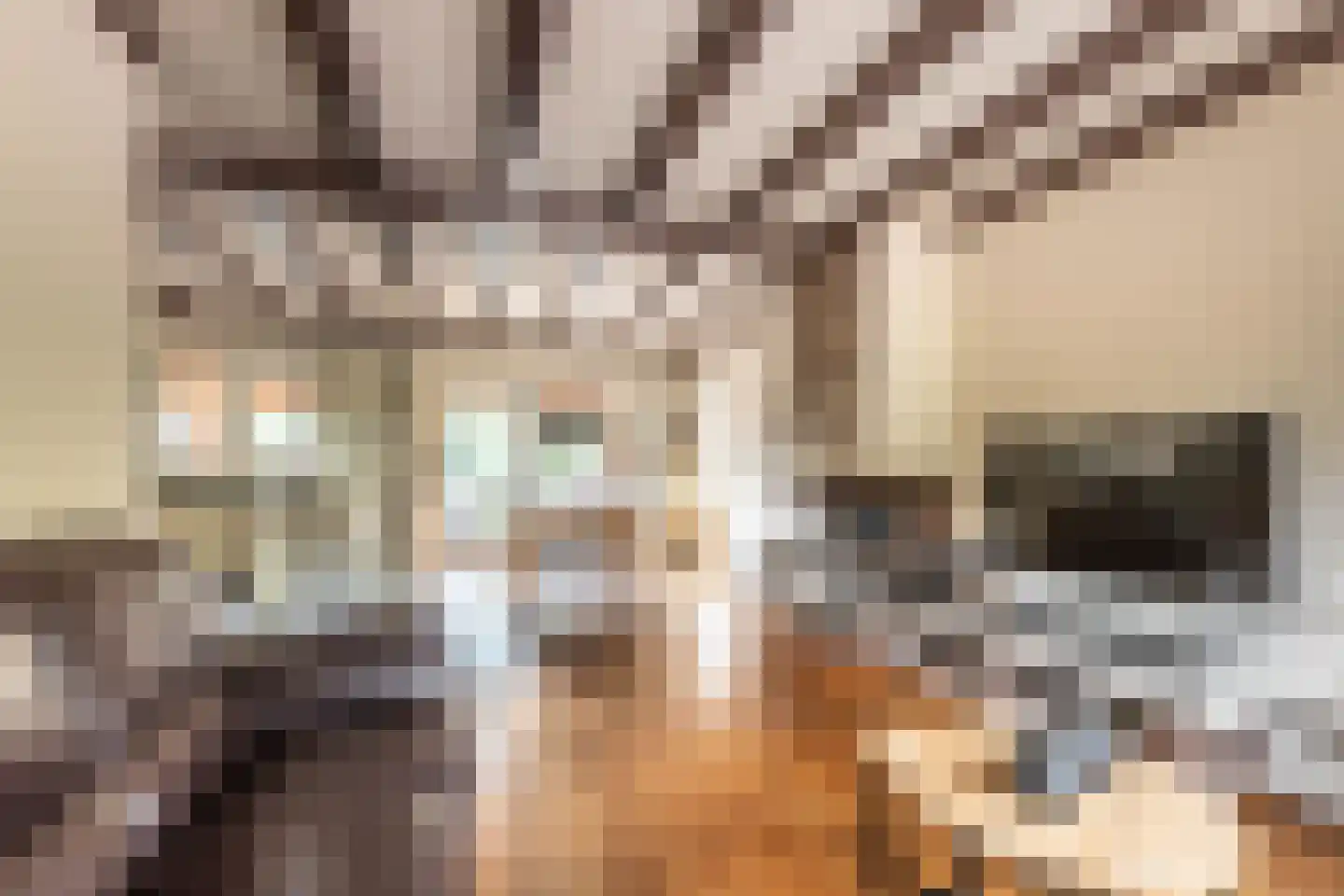 Nieuwemeerdijk 383 Badhoevedorp thumbnail 11