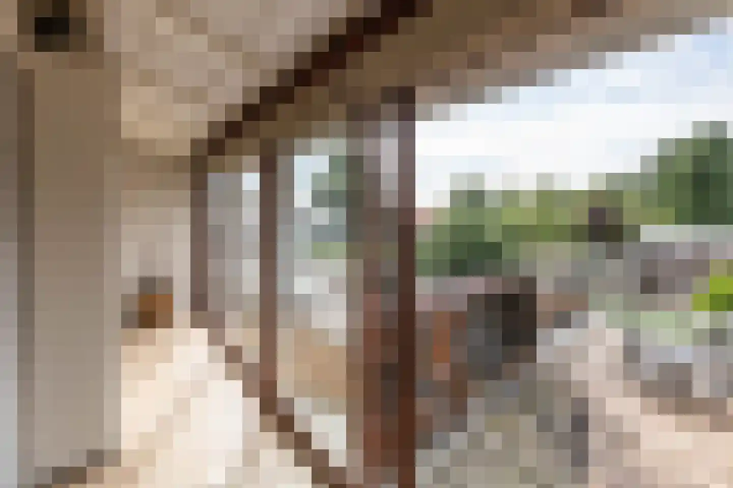Nieuwemeerdijk 383 Badhoevedorp thumbnail 12
