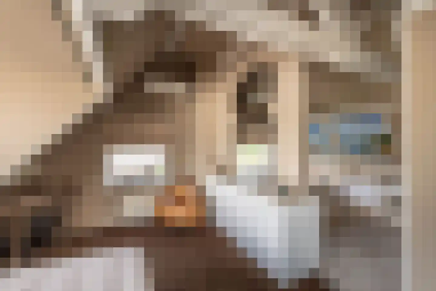 Nieuwemeerdijk 383 Badhoevedorp thumbnail 14