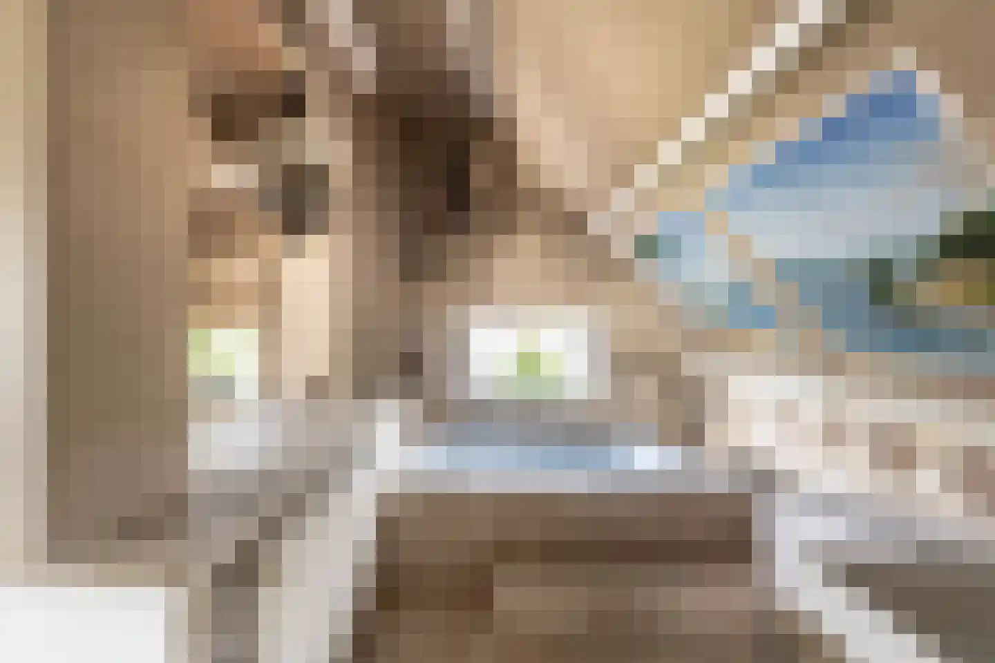 Nieuwemeerdijk 383 Badhoevedorp thumbnail 15
