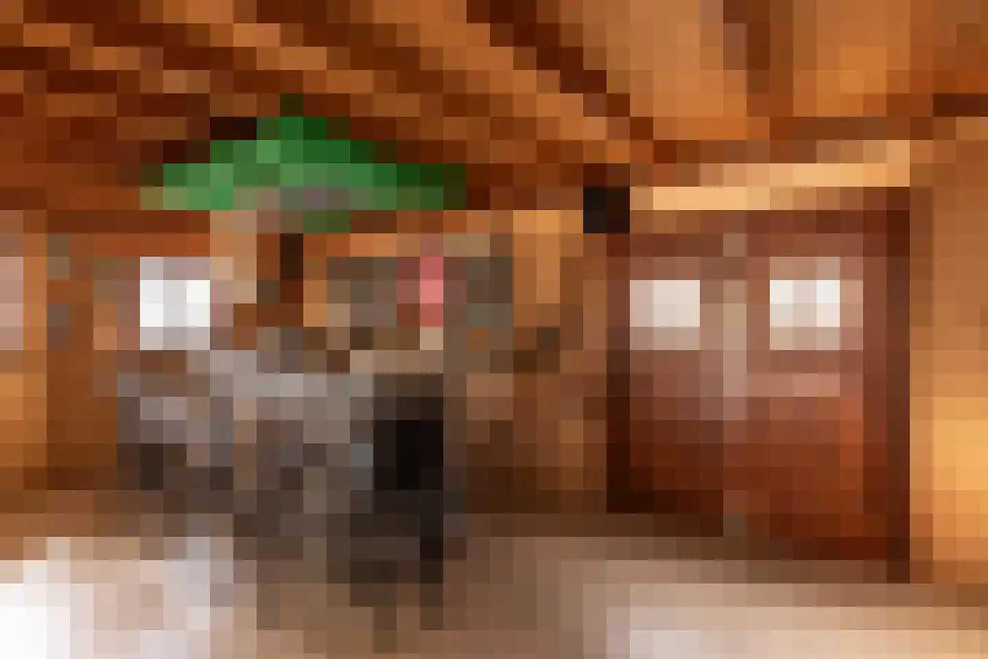 Nieuwemeerdijk 383 Badhoevedorp thumbnail 20