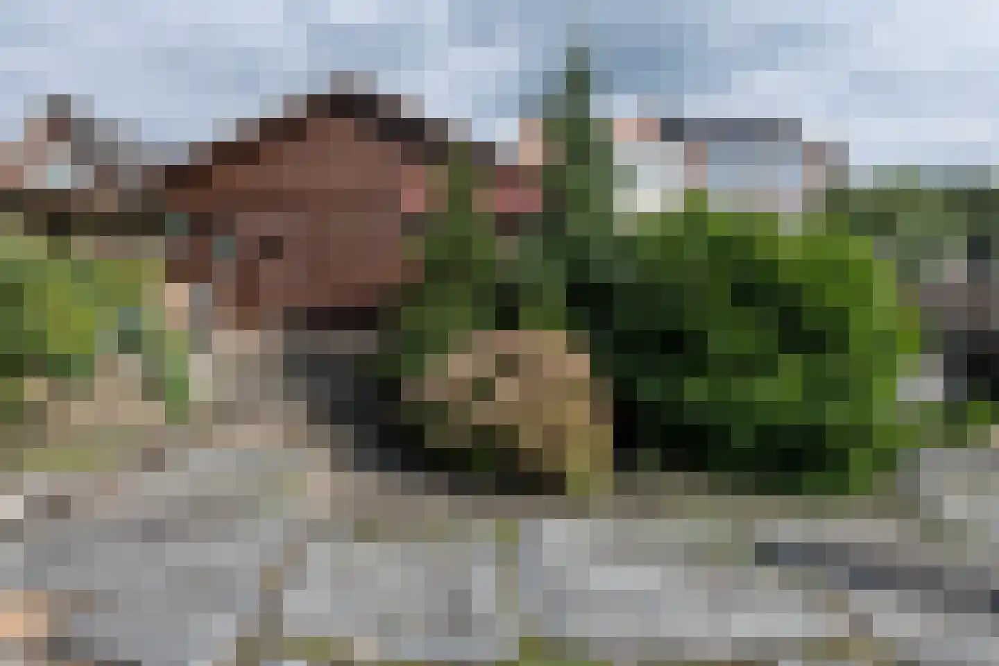 Nieuwemeerdijk 383 Badhoevedorp thumbnail 27