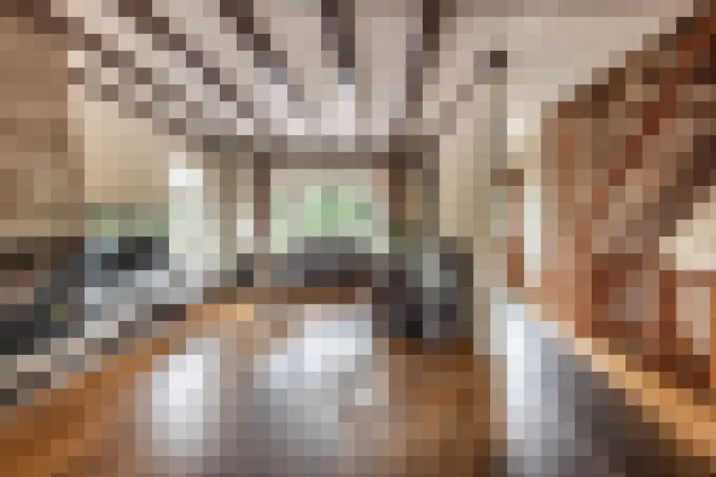 Nieuwemeerdijk 383 Badhoevedorp thumbnail 6
