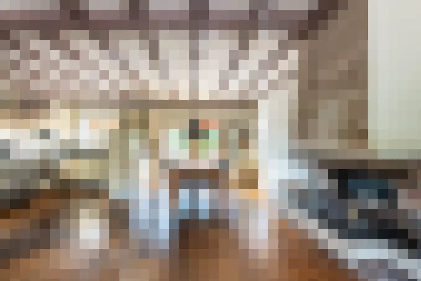 Nieuwemeerdijk 383 Badhoevedorp thumbnail 7