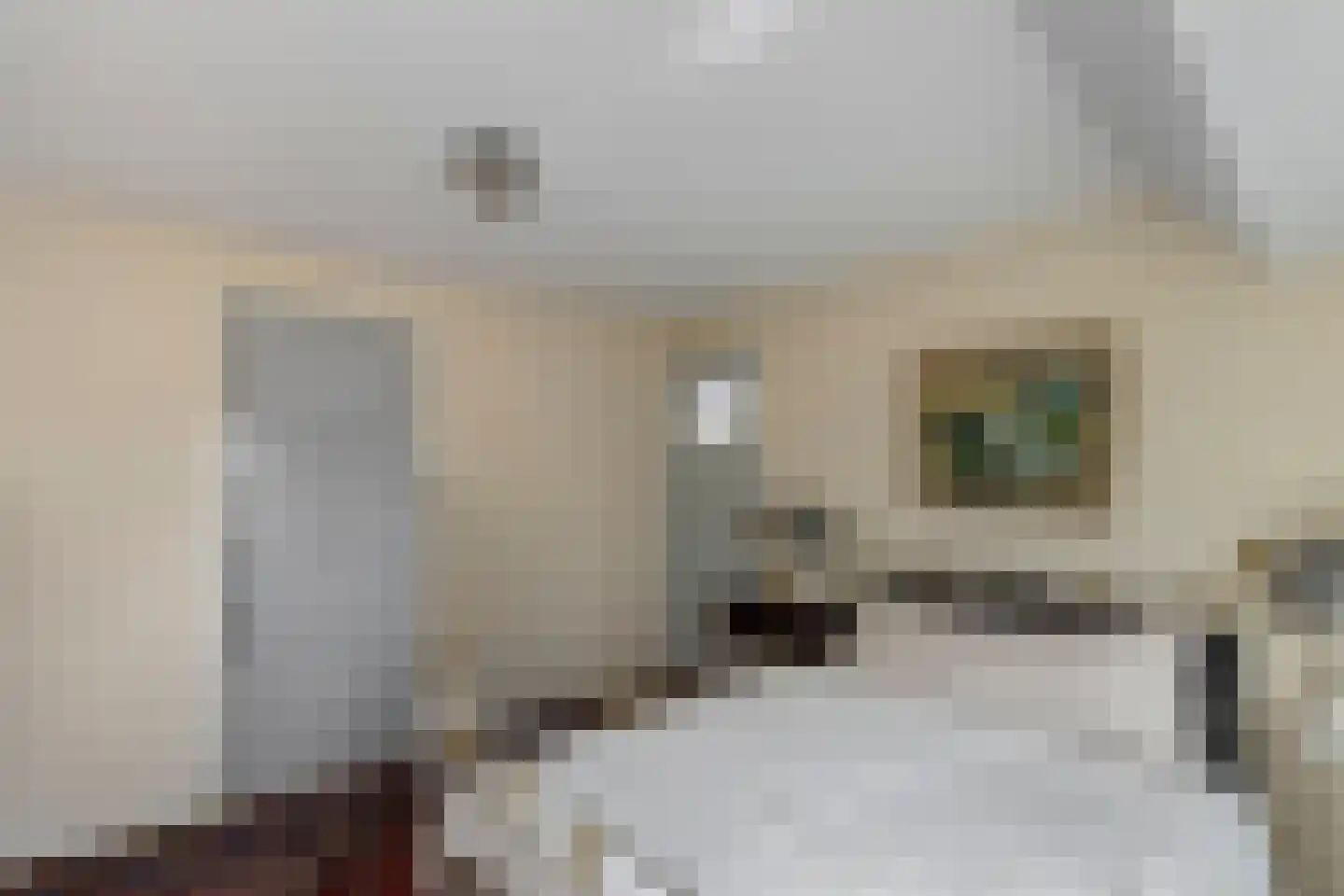 Nieuwemeerdijk 39 Badhoevedorp thumbnail 18