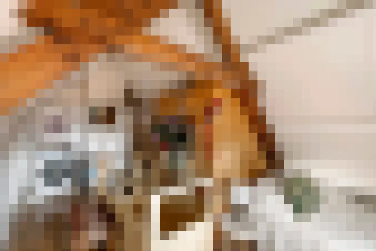 Nieuwemeerdijk 39 Badhoevedorp thumbnail 33