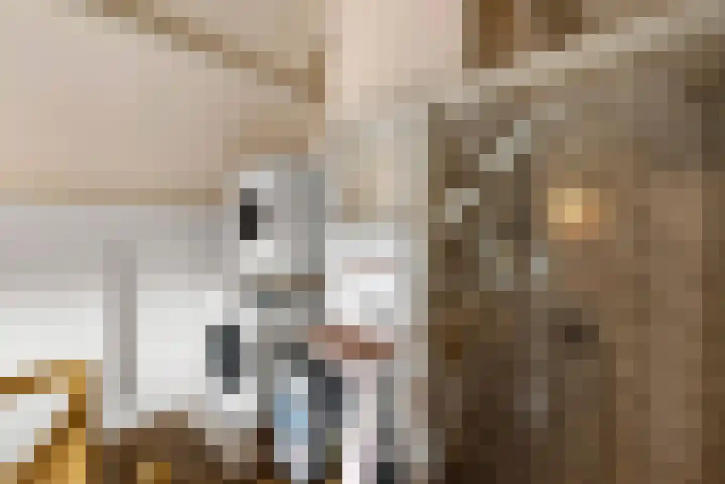 Nieuwemeerdijk 39 Badhoevedorp thumbnail 34