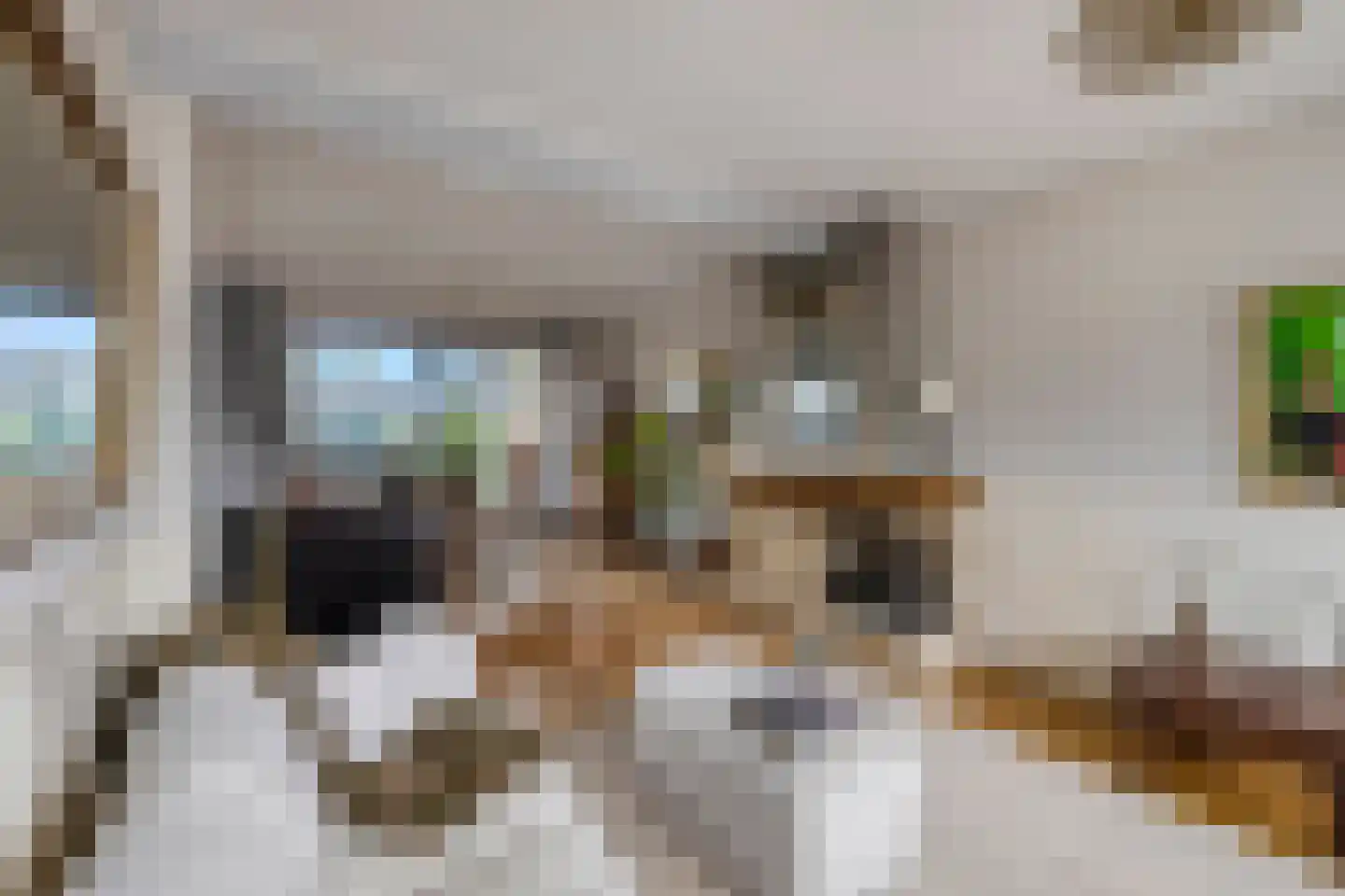 Nieuwemeerdijk 39 Badhoevedorp thumbnail 4