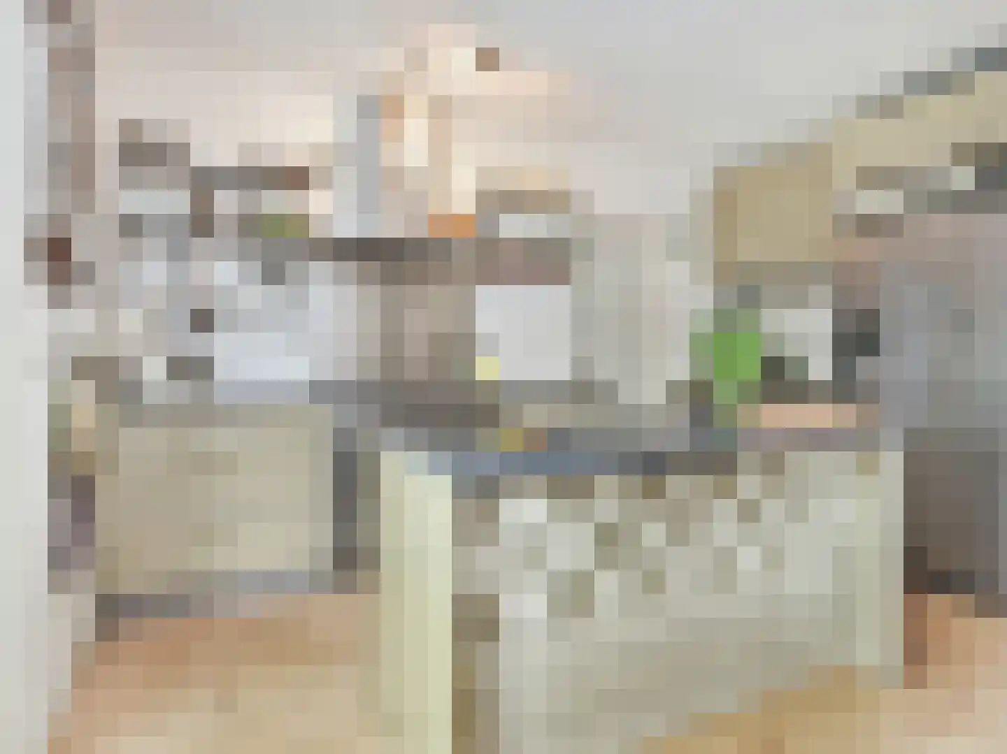 Nieuwemeerdijk 43 Badhoevedorp thumbnail 33