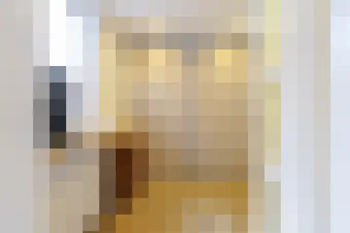 Nieuwenakker 2 Kaatsheuvel thumbnail 14