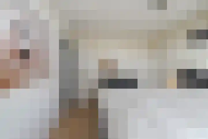 Nieuwenakker 2 Kaatsheuvel thumbnail 19