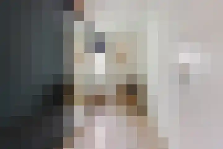Nieuwenakker 2 Kaatsheuvel thumbnail 21