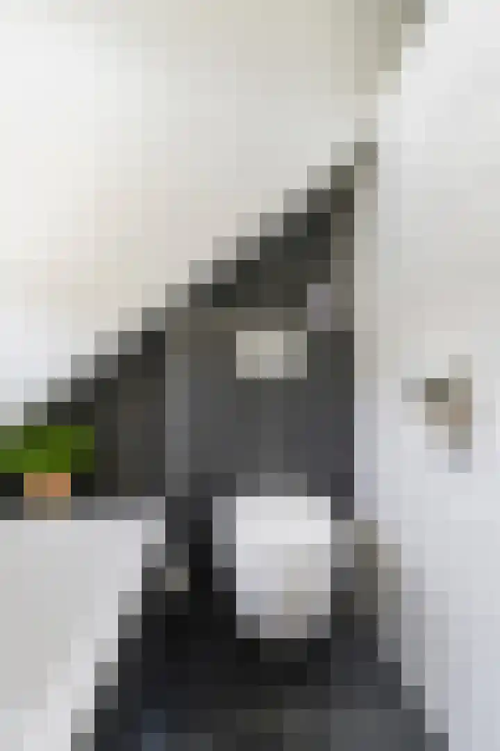 Nieuwenakker 2 Kaatsheuvel thumbnail 25