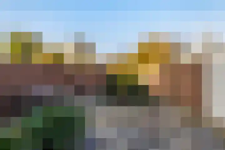 Nieuwenakker 2 Kaatsheuvel thumbnail 32