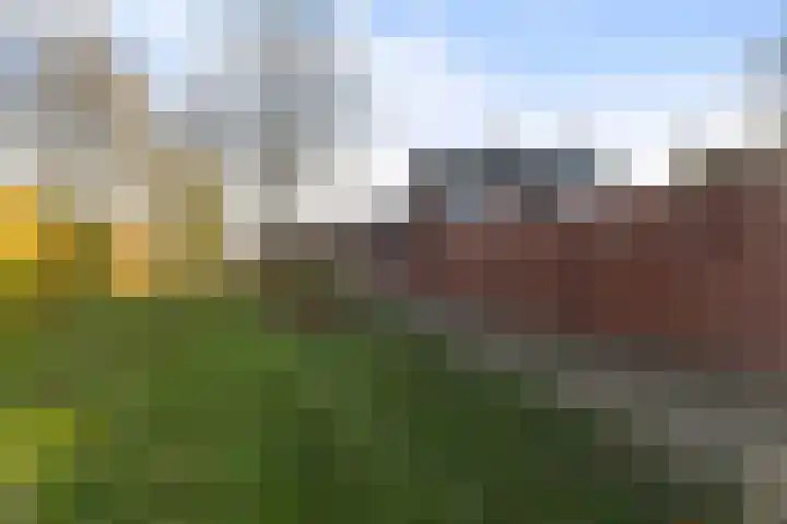 Nieuwenakker 2 Kaatsheuvel thumbnail 35