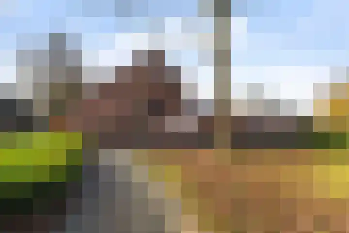 Nieuwenakker 2 Kaatsheuvel thumbnail 4