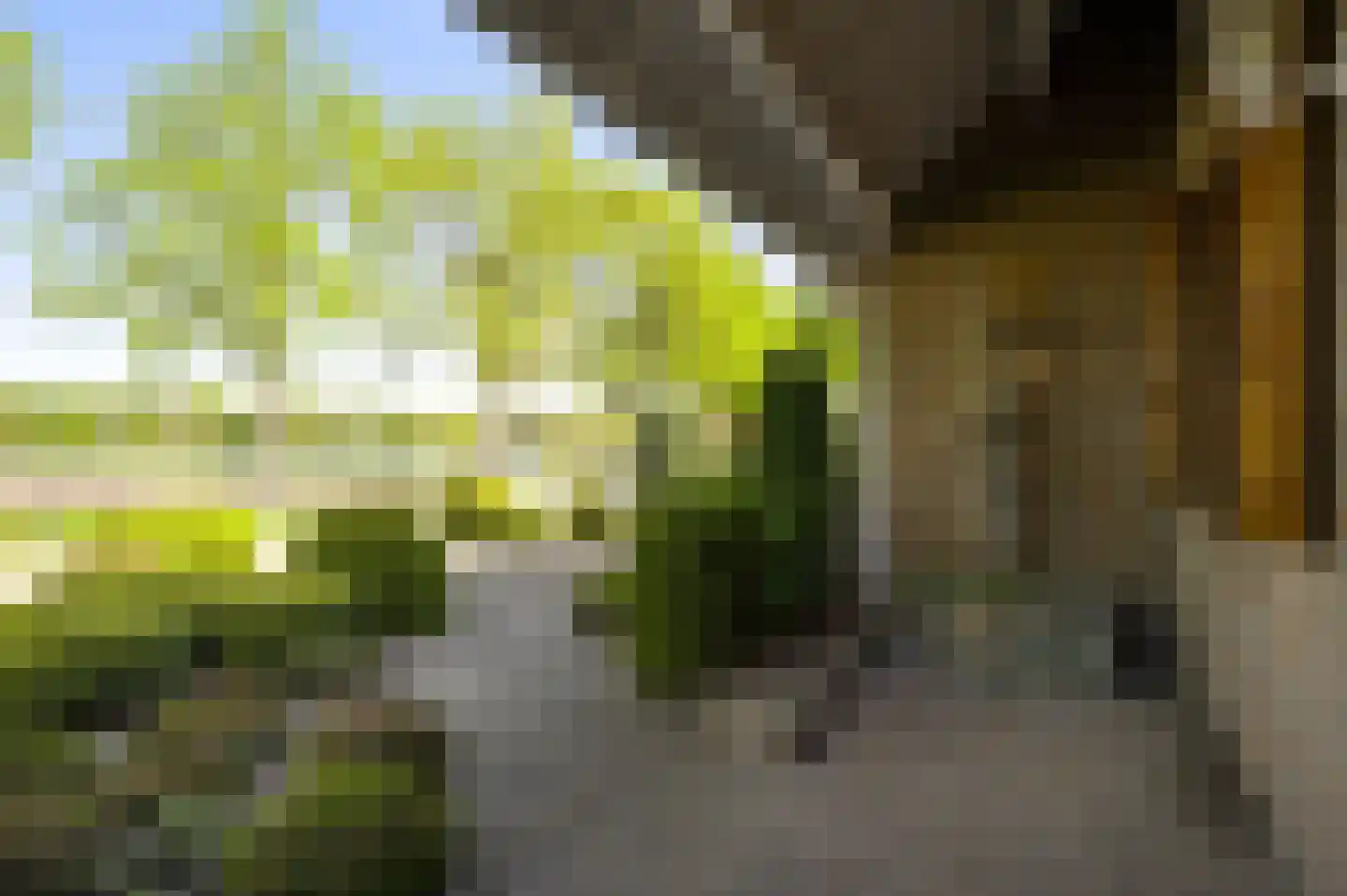 Nieuwenakker 20 Haelen thumbnail 10