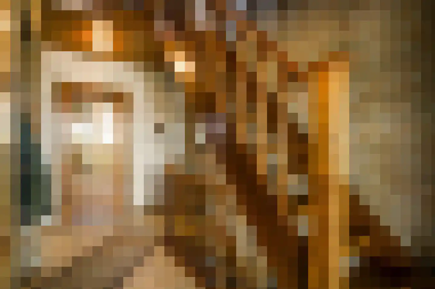Nieuwenakker 20 Haelen thumbnail 11