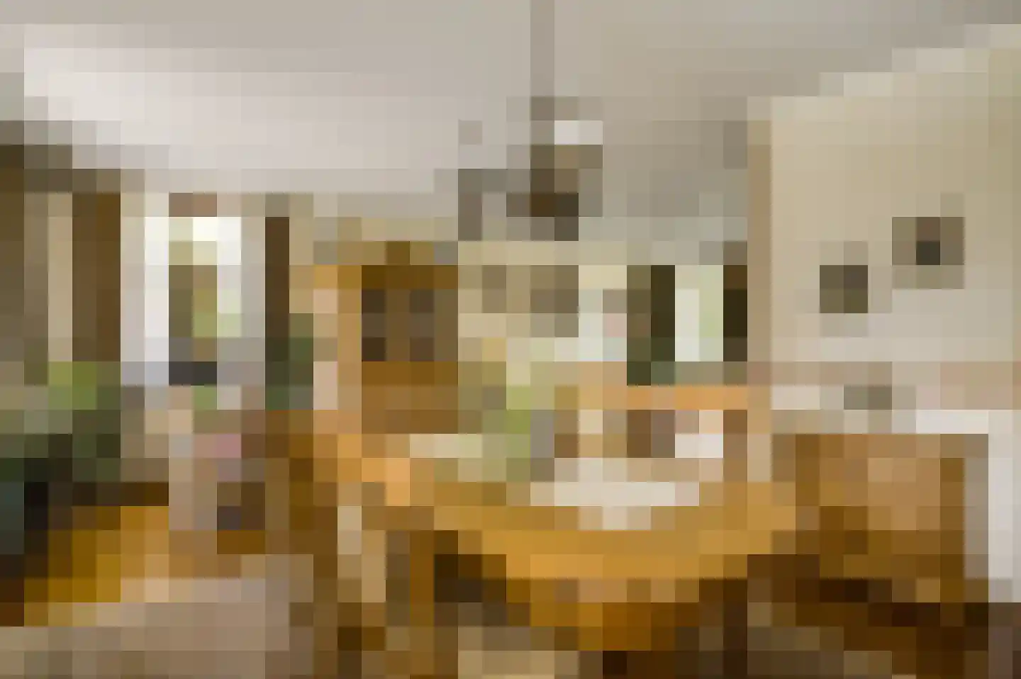 Nieuwenakker 20 Haelen thumbnail 16