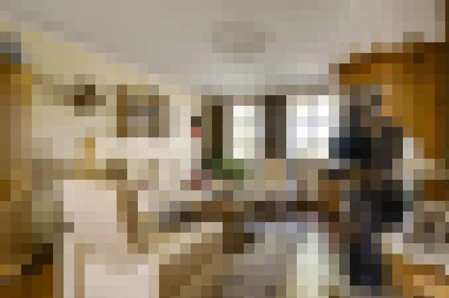 Nieuwenakker 20 Haelen thumbnail 17