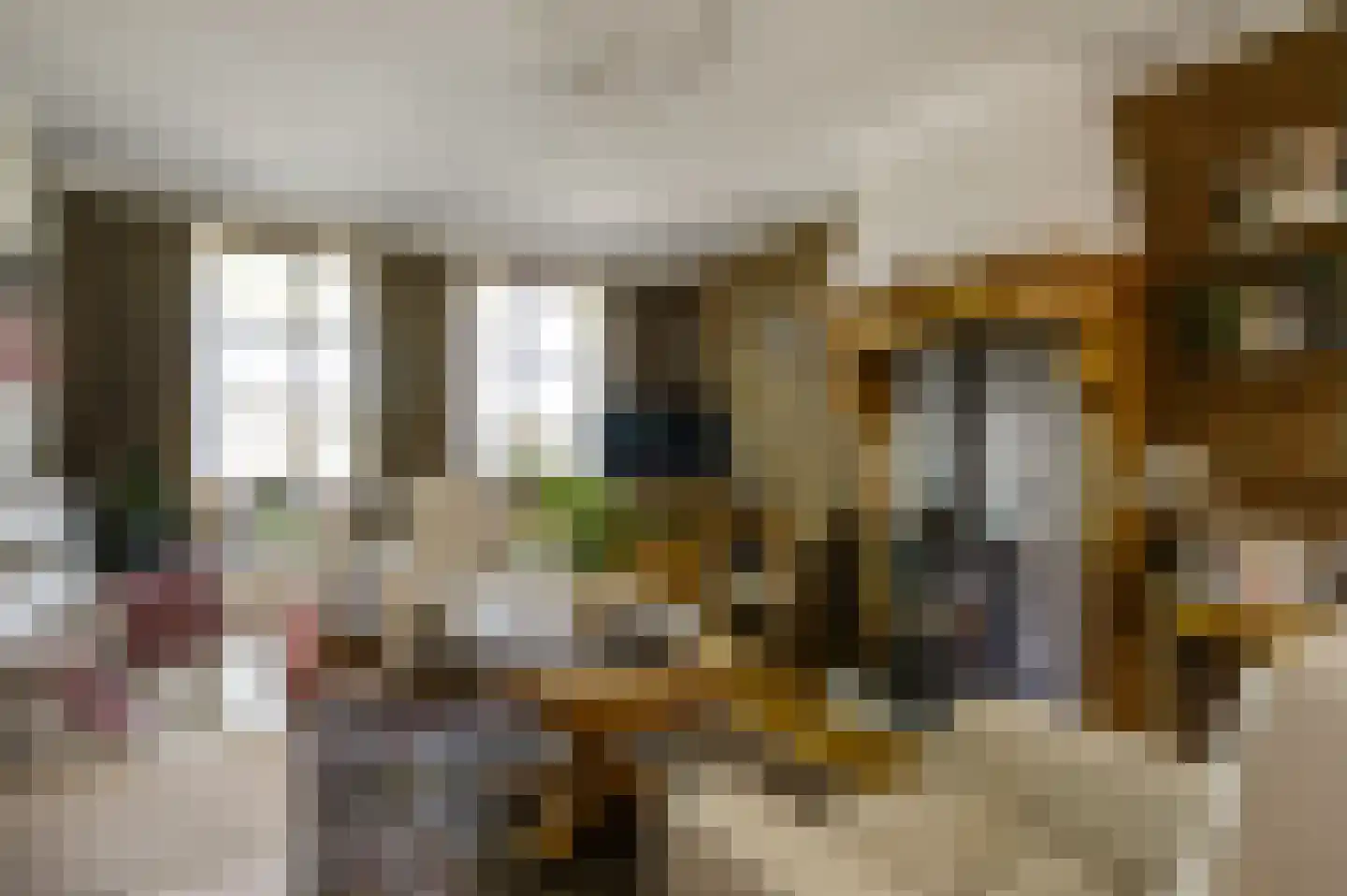 Nieuwenakker 20 Haelen thumbnail 18